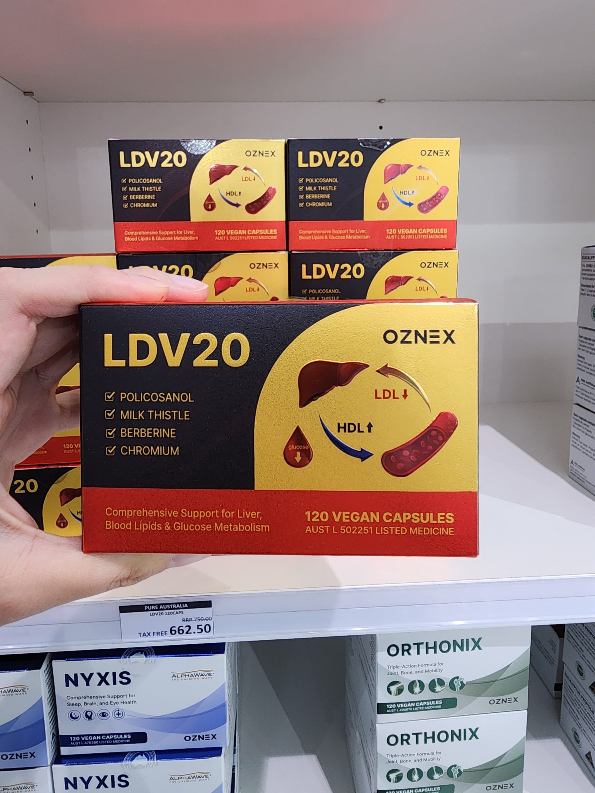 LDV20 부모님 선물
