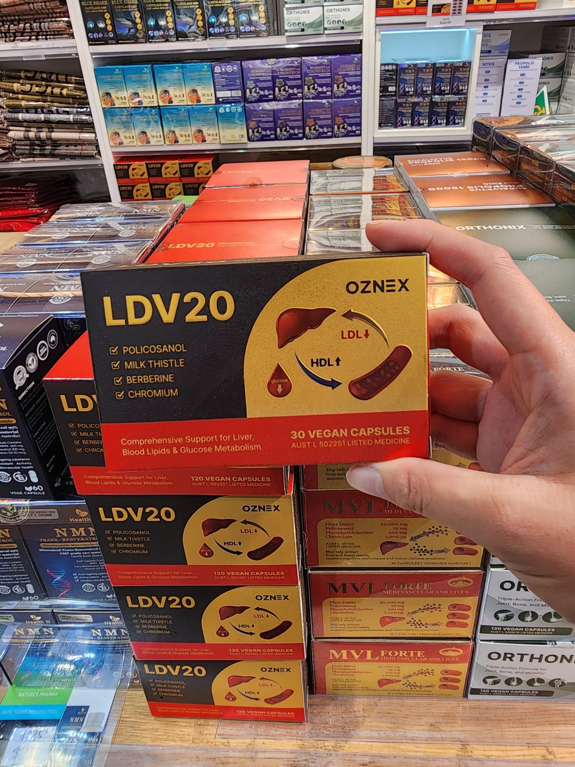 LDV20 부모님 선물