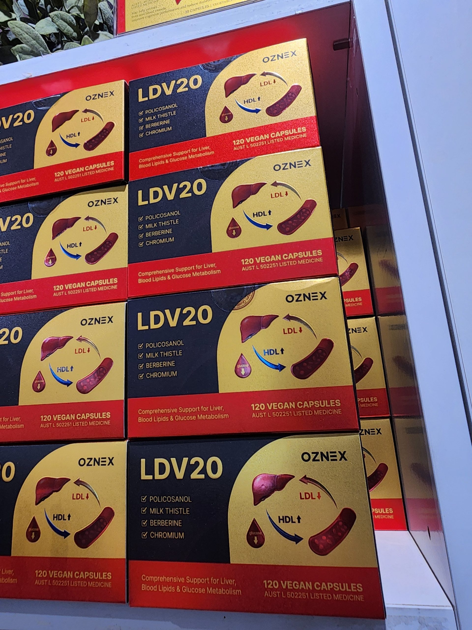 호주 필수 쇼핑리스트