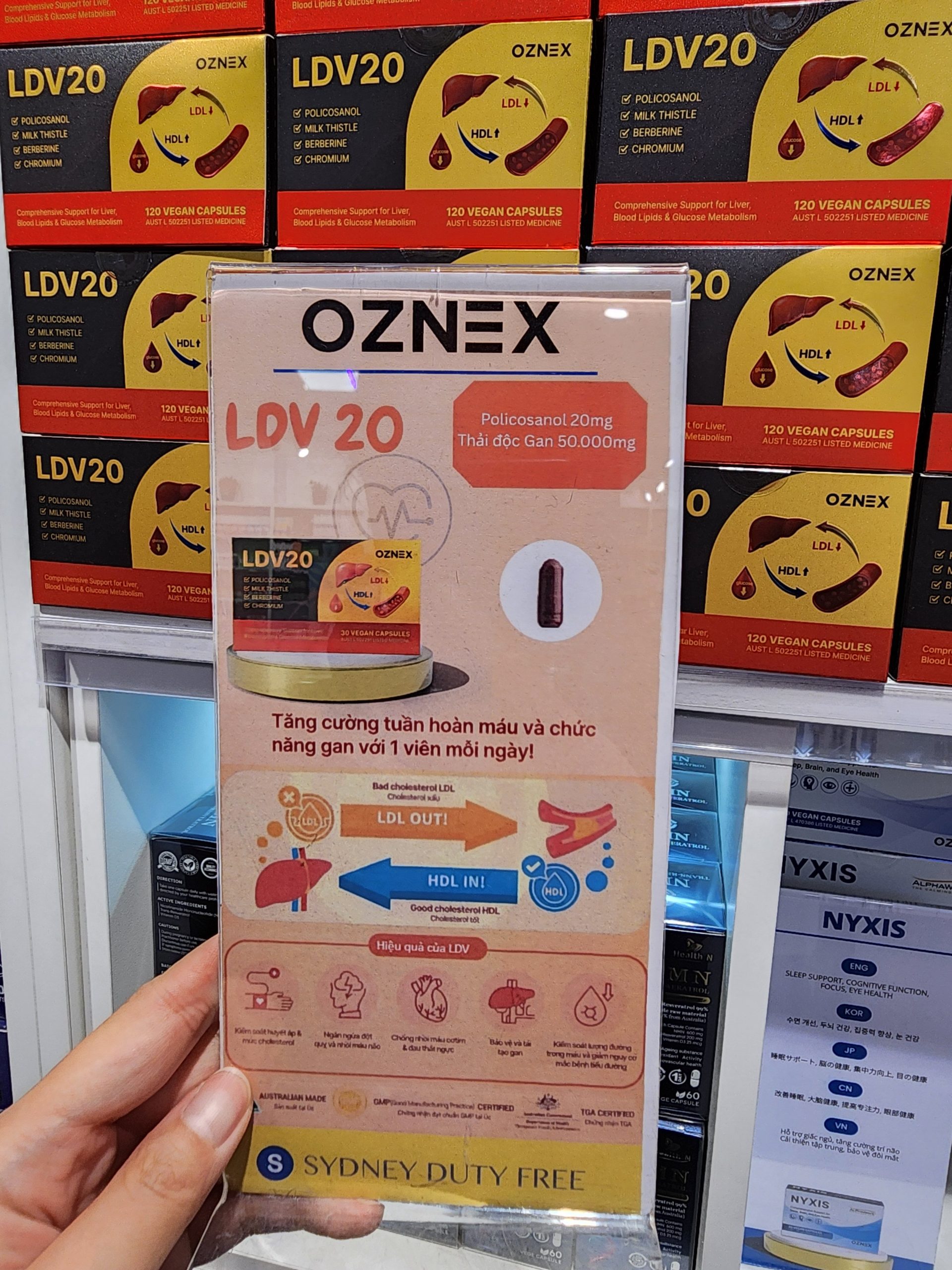 LDV20 부모님 선물